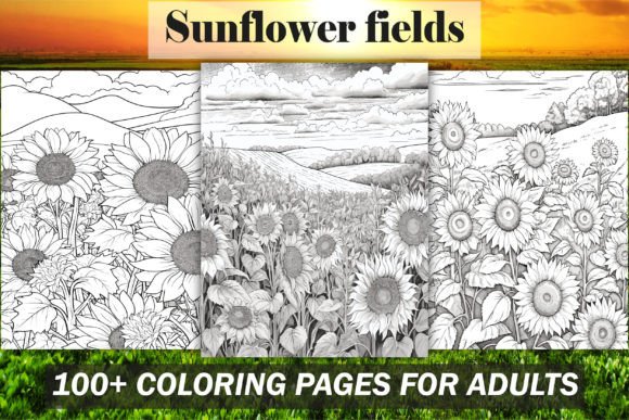 Sunflower Fields Coloring Pages for KDP